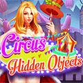 Circus Hidden Objects